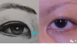 各类网红双眼皮,多样美眸的时尚演变解析