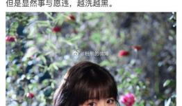 吃瓜娱乐圈贵妃百度云,娱乐圈幕后秘闻大揭秘