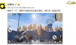 娱乐之荒野主播,娱乐主播的荒野求生之旅