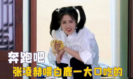 娱乐吃瓜直播白鹿