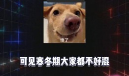 关于吃瓜娱乐八卦的网名,揭秘娱乐圈那些事儿