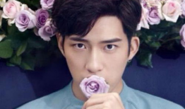 娱乐圈gey,揭秘明星背后的故事