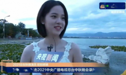 娱乐吃瓜酱流量,揭秘流量背后的秘密与真相
